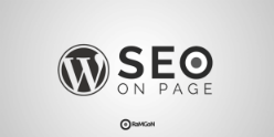 Guía con 11 ajustes imprescindibles de SEO On Page en WordPress